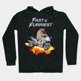 Fast and Furriest Parody Funny Cute Action Packed Motorcycle Flames Knock Off Brand Merch Hoodie